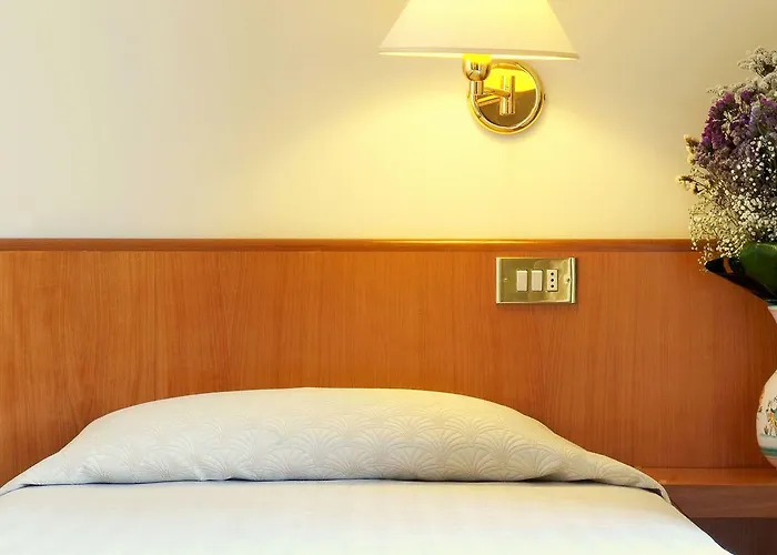 ホテル プラザ 3*